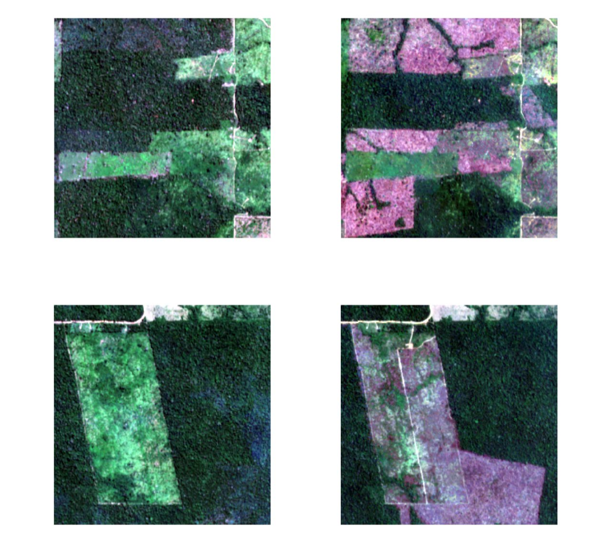 Recent conversion between planting and harvest seasons