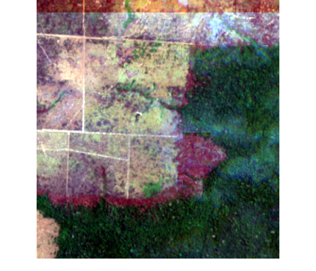 Burning with a clear management pattern, frame 1