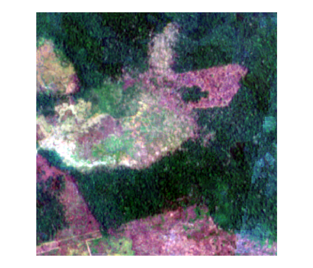 Burn pattern with vegetation recovering, frame 3