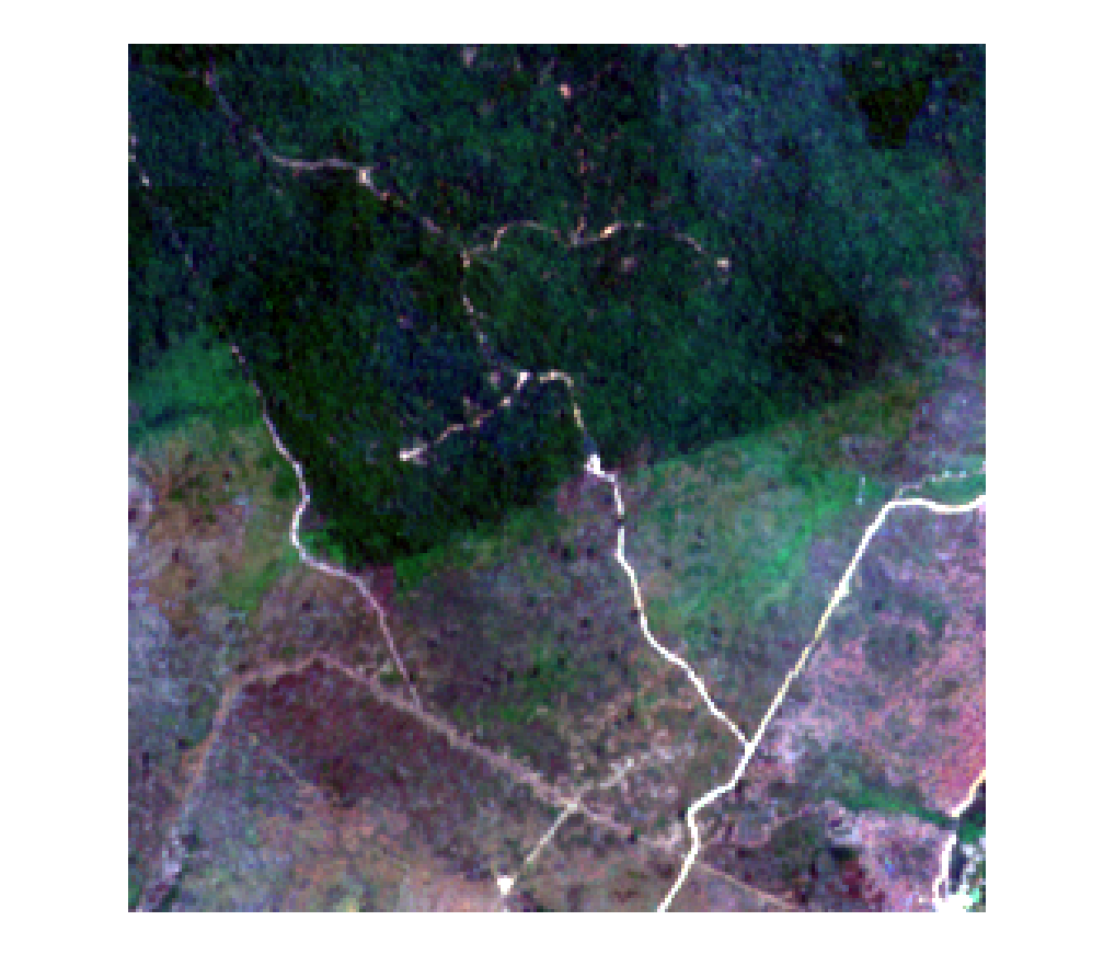 Burn pattern with vegetation recovering, frame 4