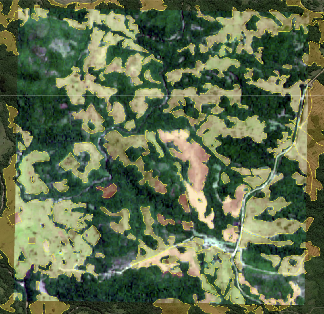A fully labeled chip in the Uruguayan Savannah