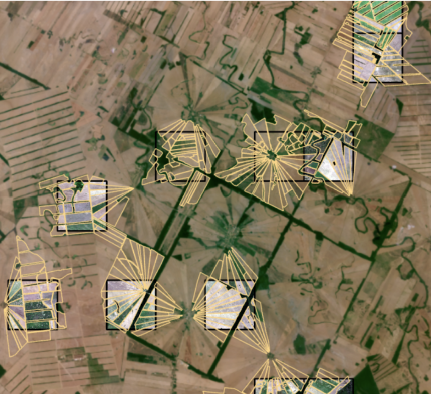 Natural vegetation subsumed into a field or serving as a border