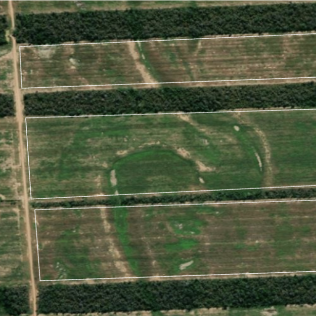 Example fields overlaying sampled chips in the Chiquitania ecoregion, with Sentinel-2 and Planet Labs reference imagery